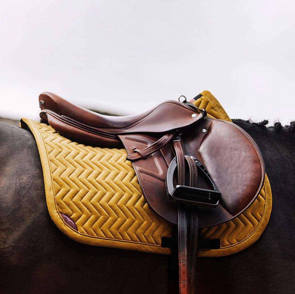 Saddle Pads & Half Pads – Page 3 – Calgary Saddlery