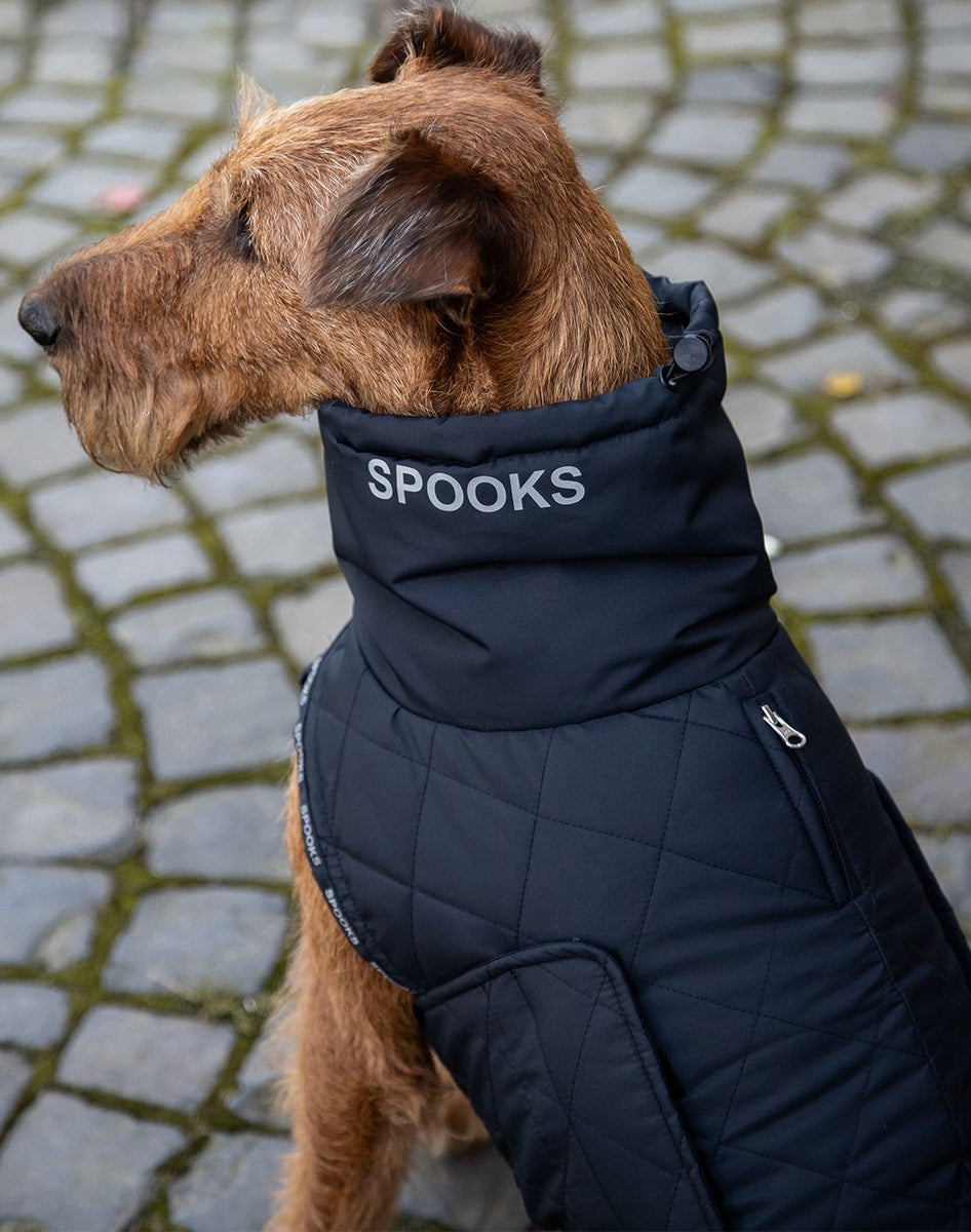 Dog jackets online best sale