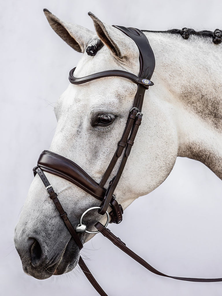 Flying Changes Dressage Bridle by PS of Sweden 