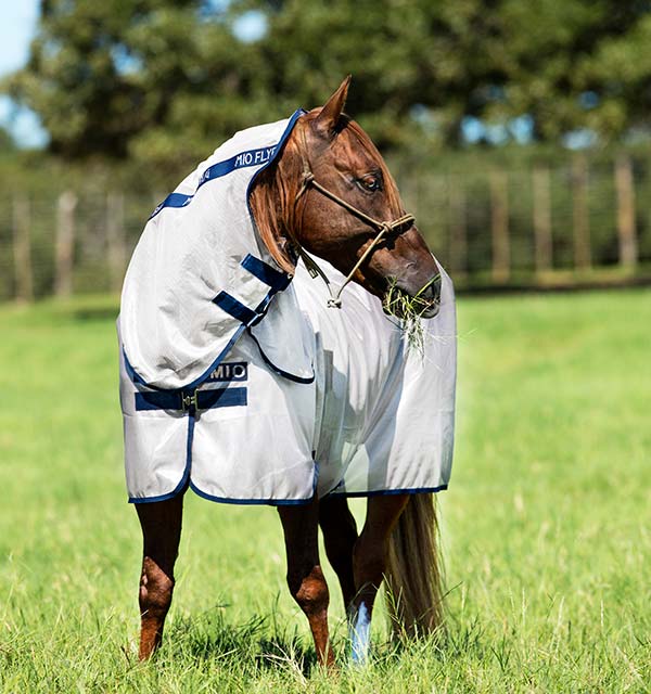 Mio by Horseware Fly Sheet