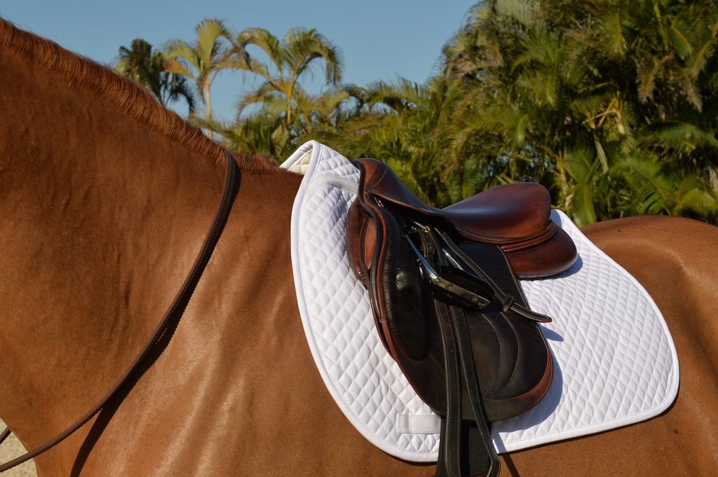 Equifit essentials saddle pad