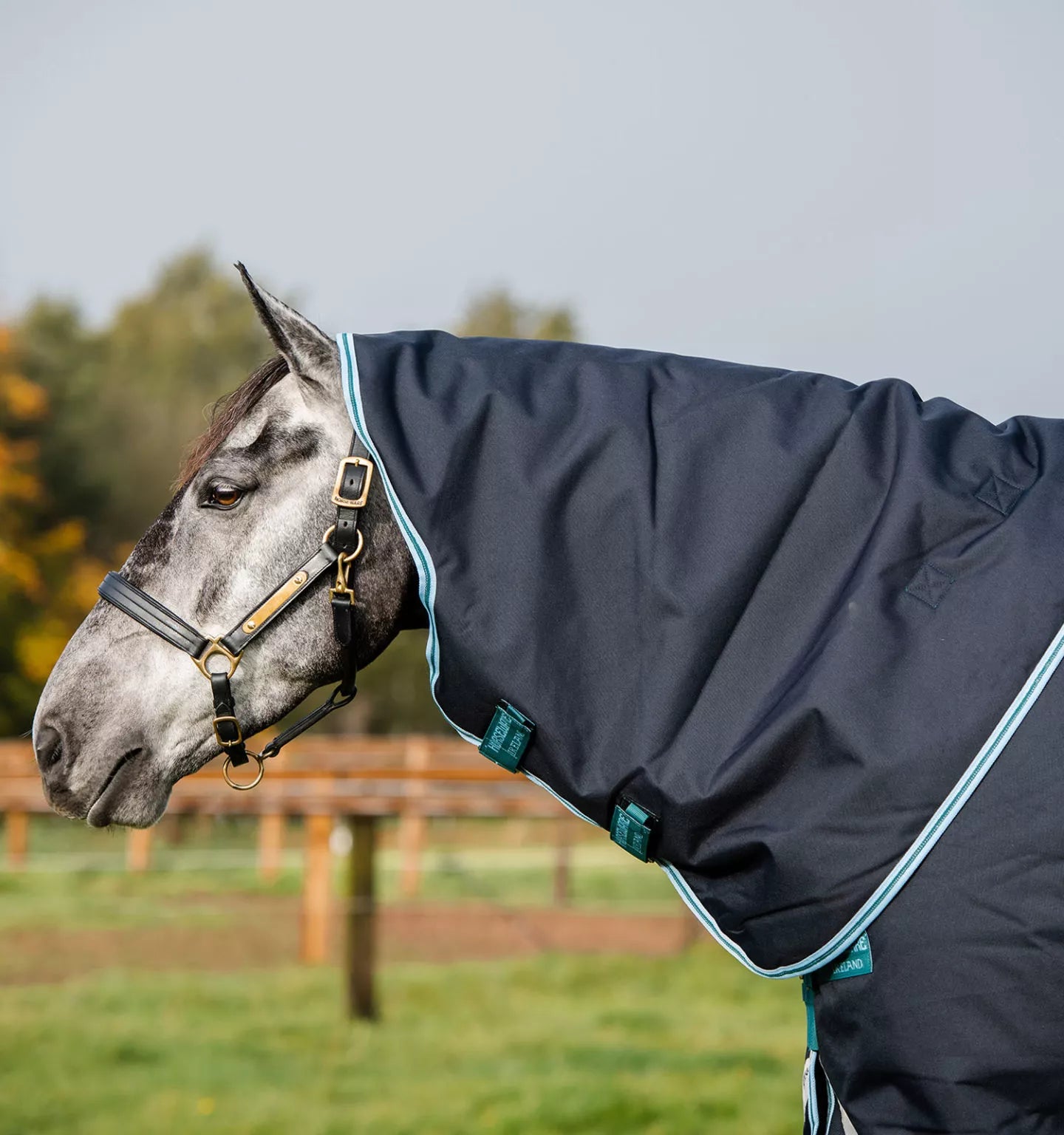 CLEARANCE - Horseware Amigo Bravo 12 50g Light Turnout Blanket