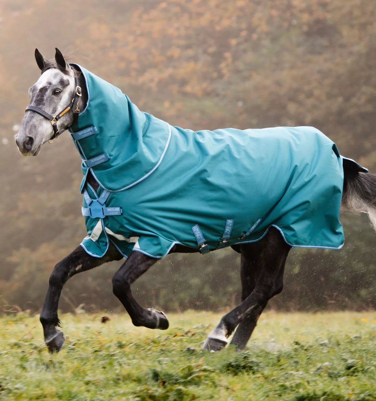 Close out of the LIME GREEN - Tipperary Horse Blankets