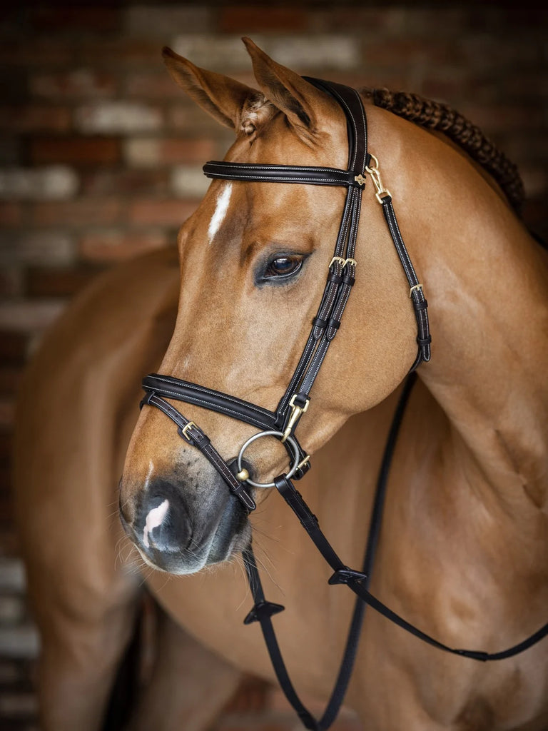 小物 2023 BRIDLE POROSUS / PALM-V2 2023 BRIDLE POROSUS / PALM-V2