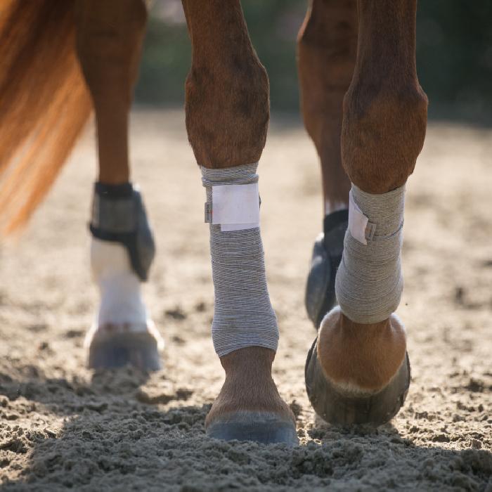 INCREDIWEAR - Circulation Leg Wraps – Calgary Saddlery